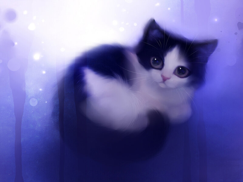 Black and White Kitten — Purple, Dreamy