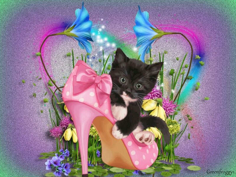 Black and White Kitten — Purple, Whimsical