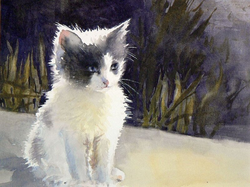 Black-and-white Kitten — White, Calm