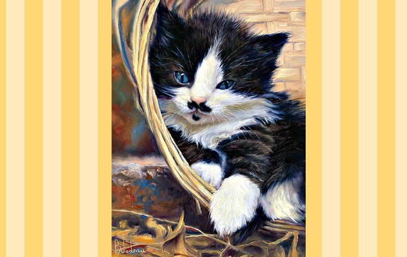 Black and White Kitten — Yellow