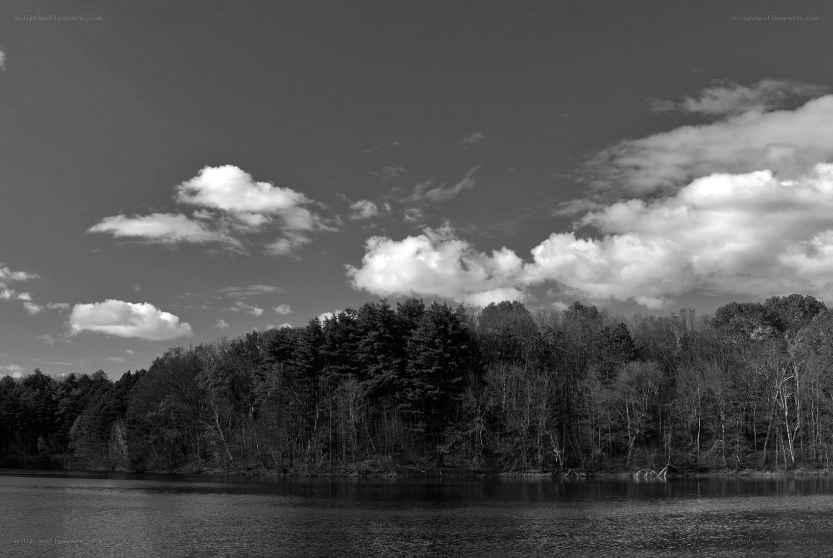Black and white lake landscape