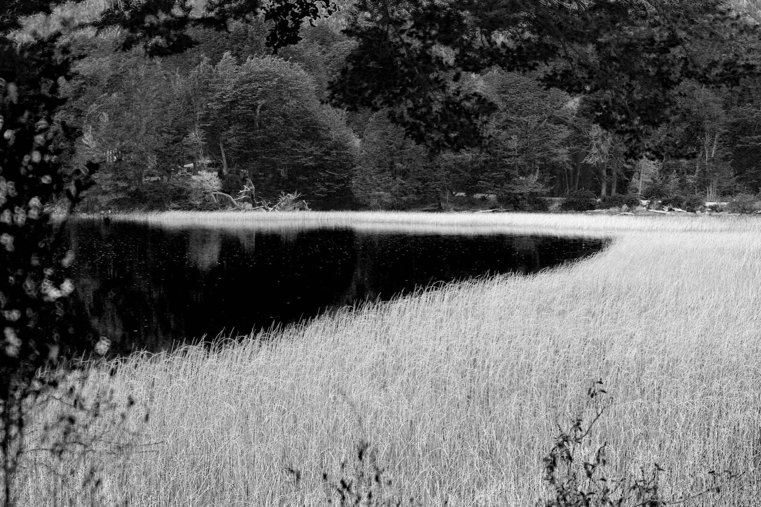 Black and white lake scene