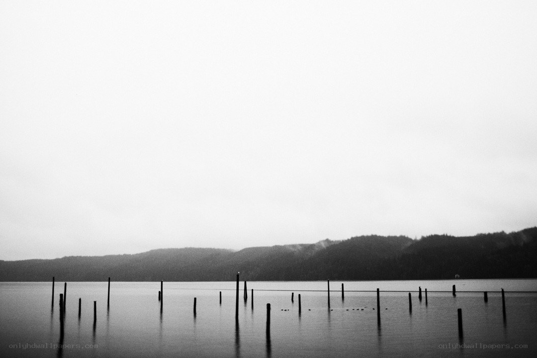 Black and white lake scene