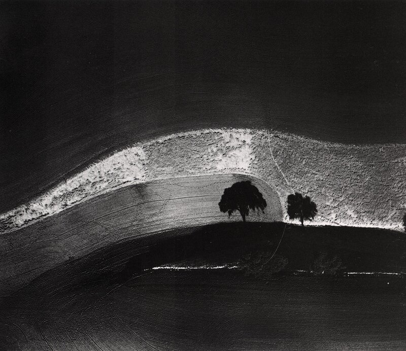 Black and white landscape with trees