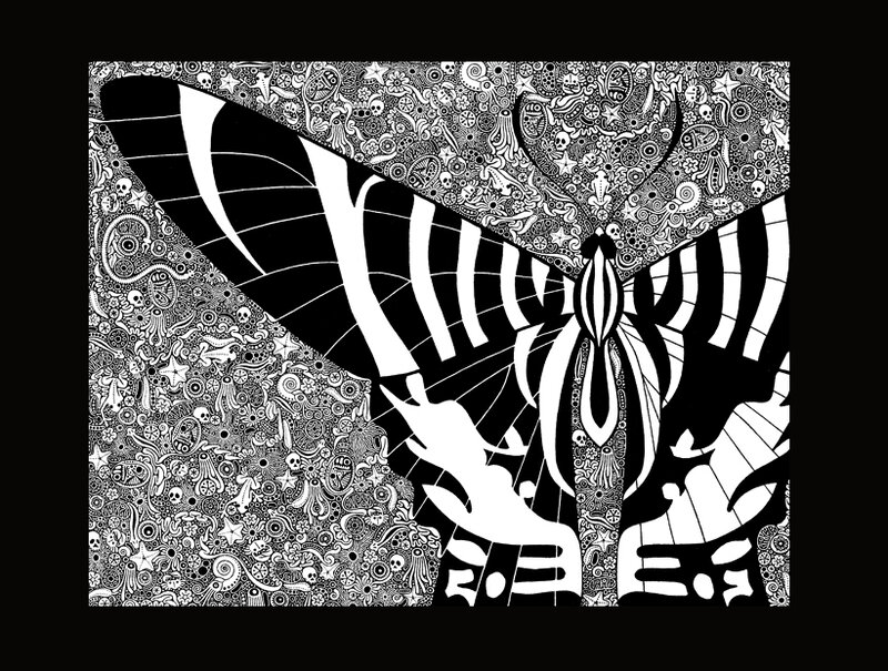 Black and White Moth