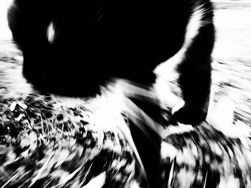 Black and White Motion Blur