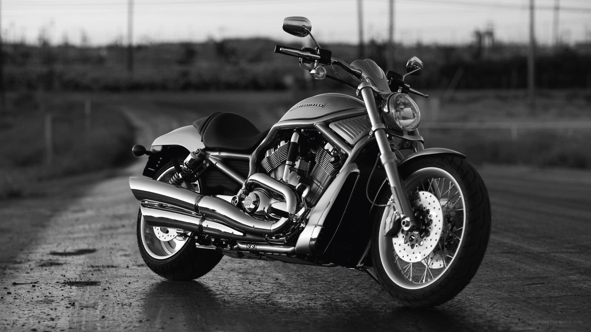 black and white motorcycle on road
