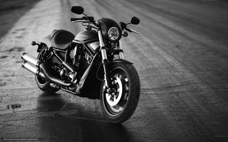 black and white motorcycle on road