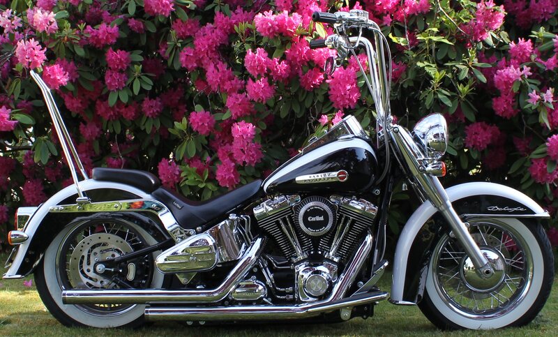 Black and White Motorcycle — Serene