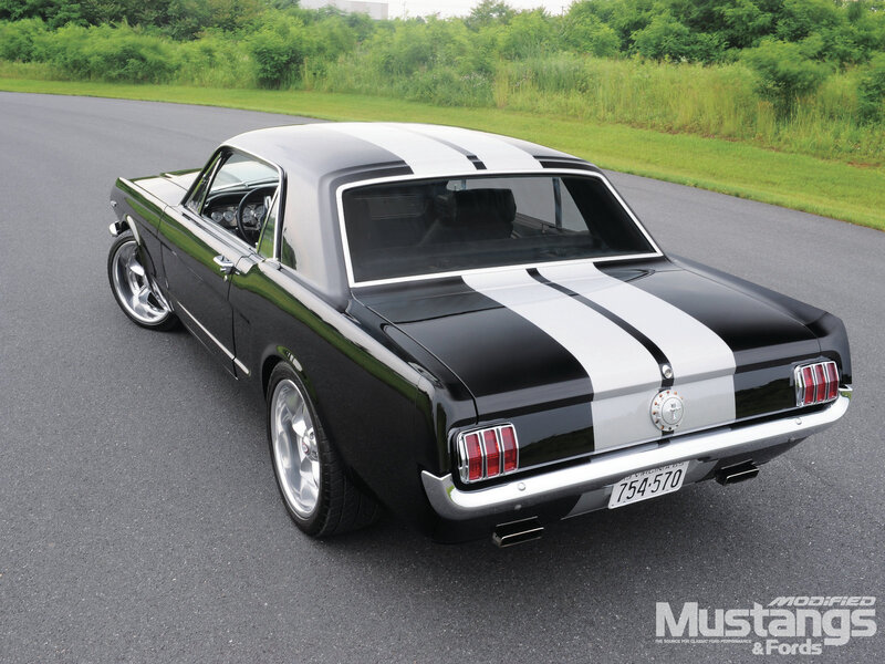 Black and White Mustang