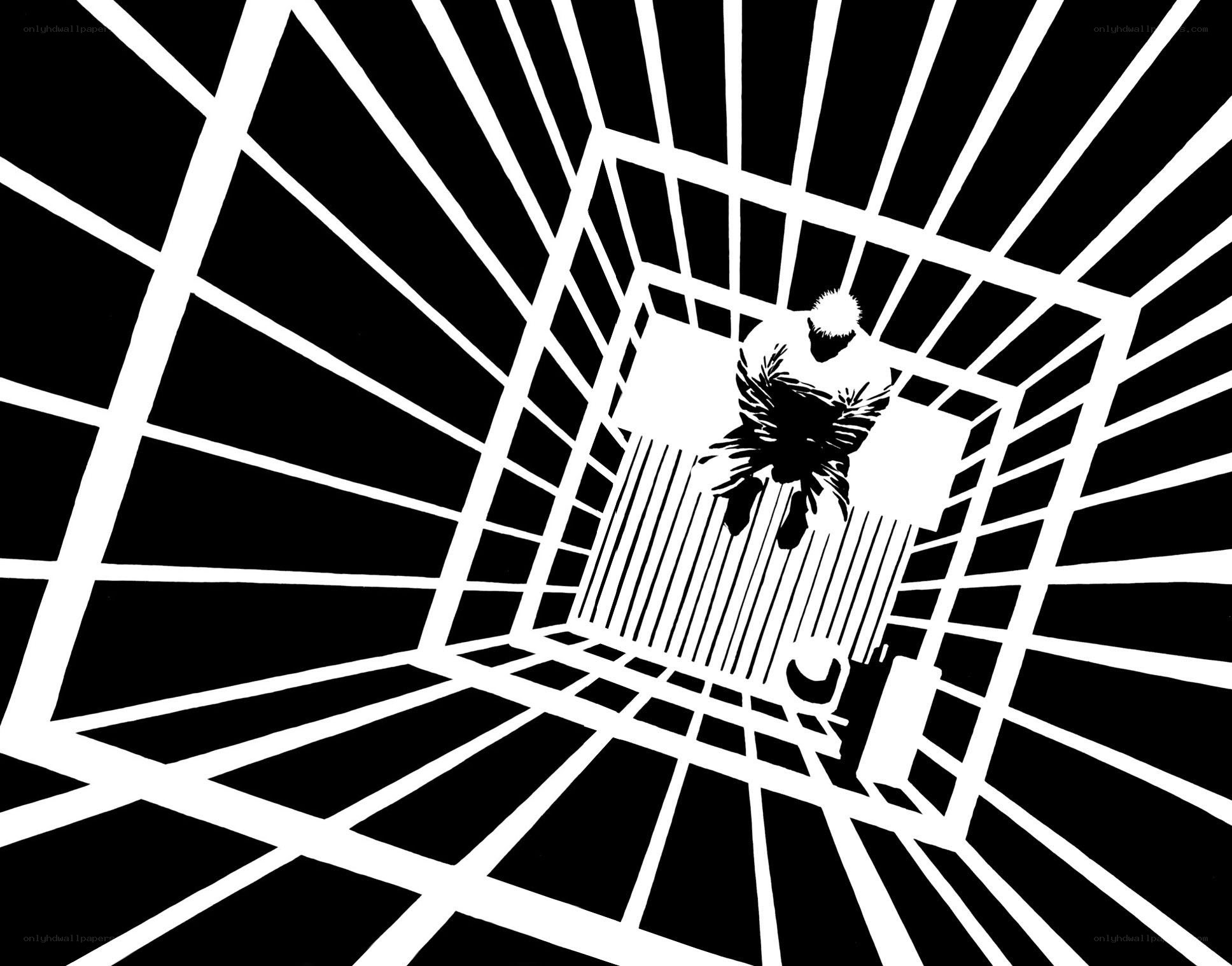 black and white optical illusion