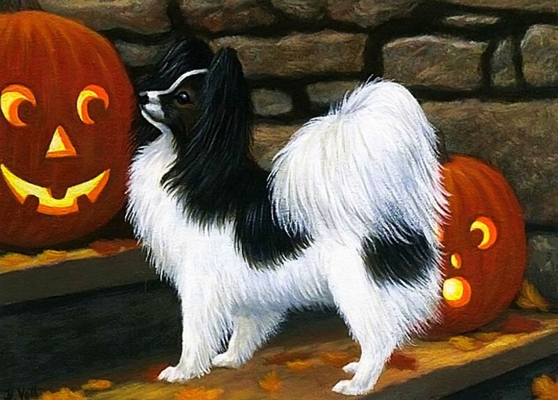 Black and White Papillon Dog — Festive