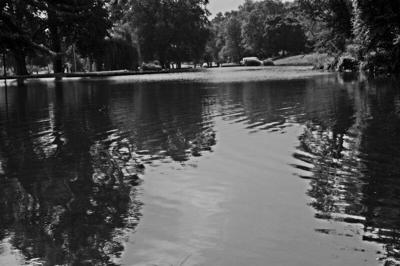 Black and White Pond Scene
