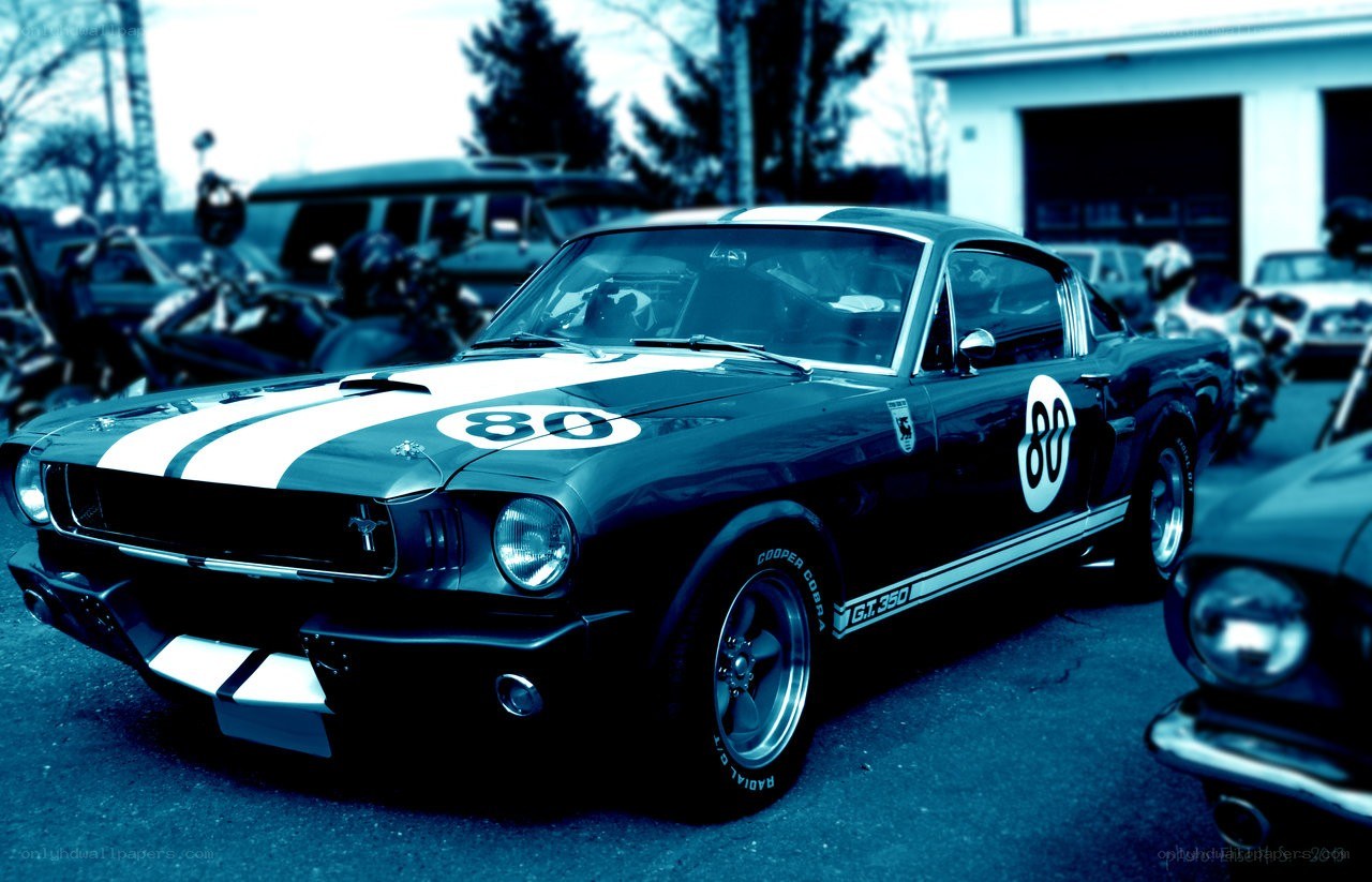 Black and white racing car