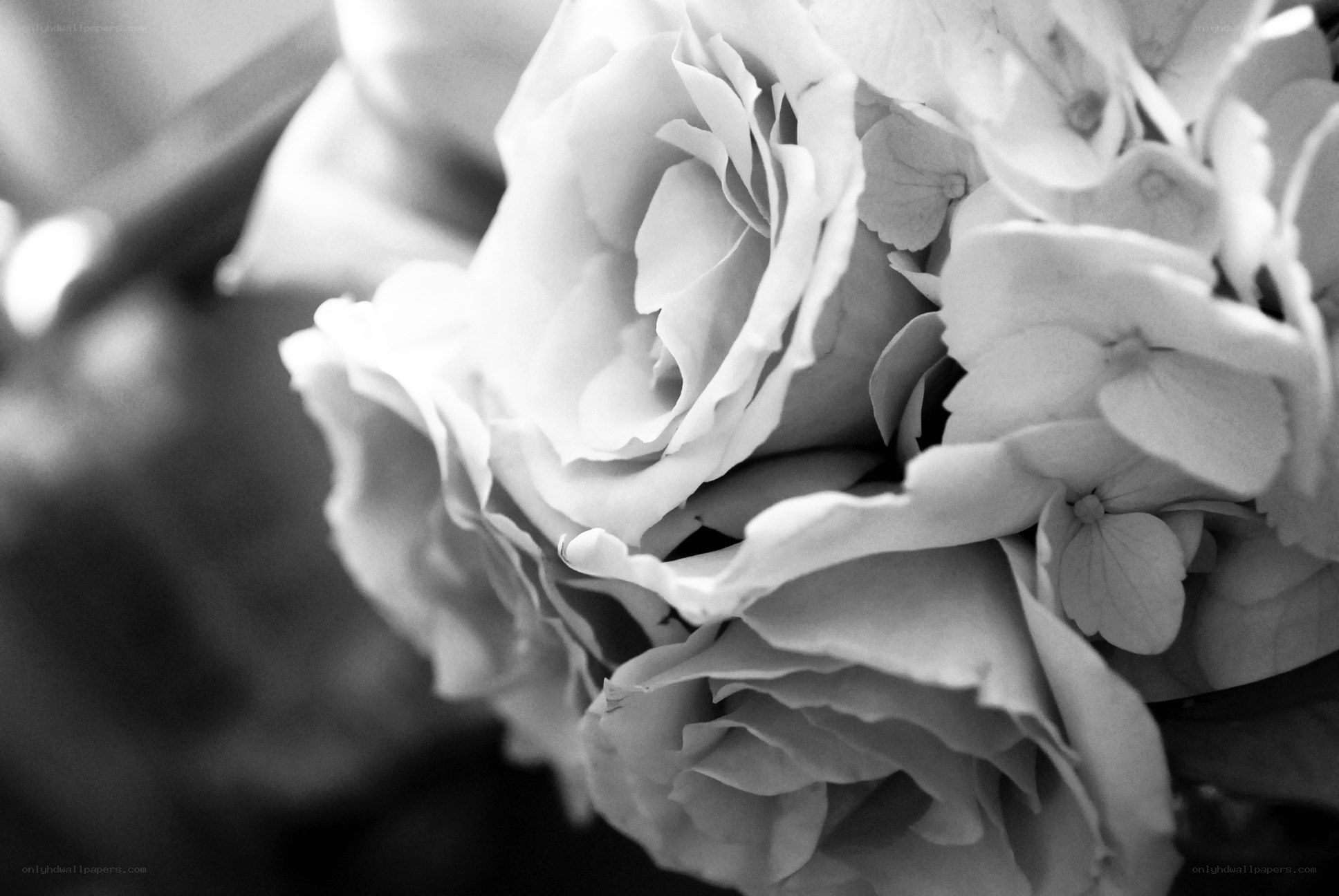 black and white rose bouquet