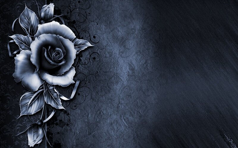 Black and White Rose — Dramatic, Digital Art