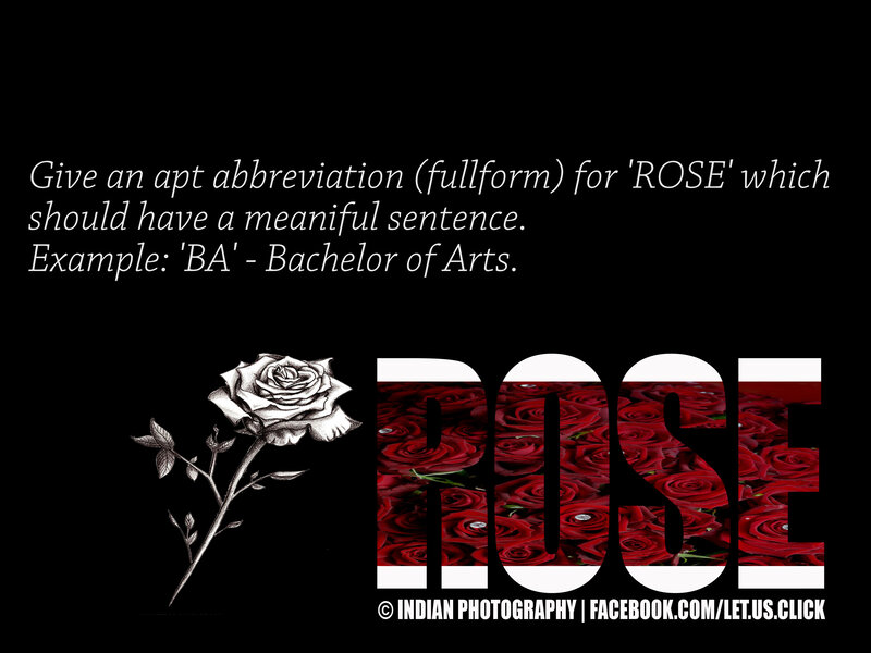 Black and White Rose Drawing — Dramatic