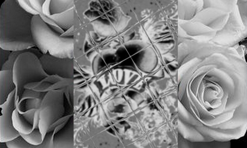 black and white roses collage