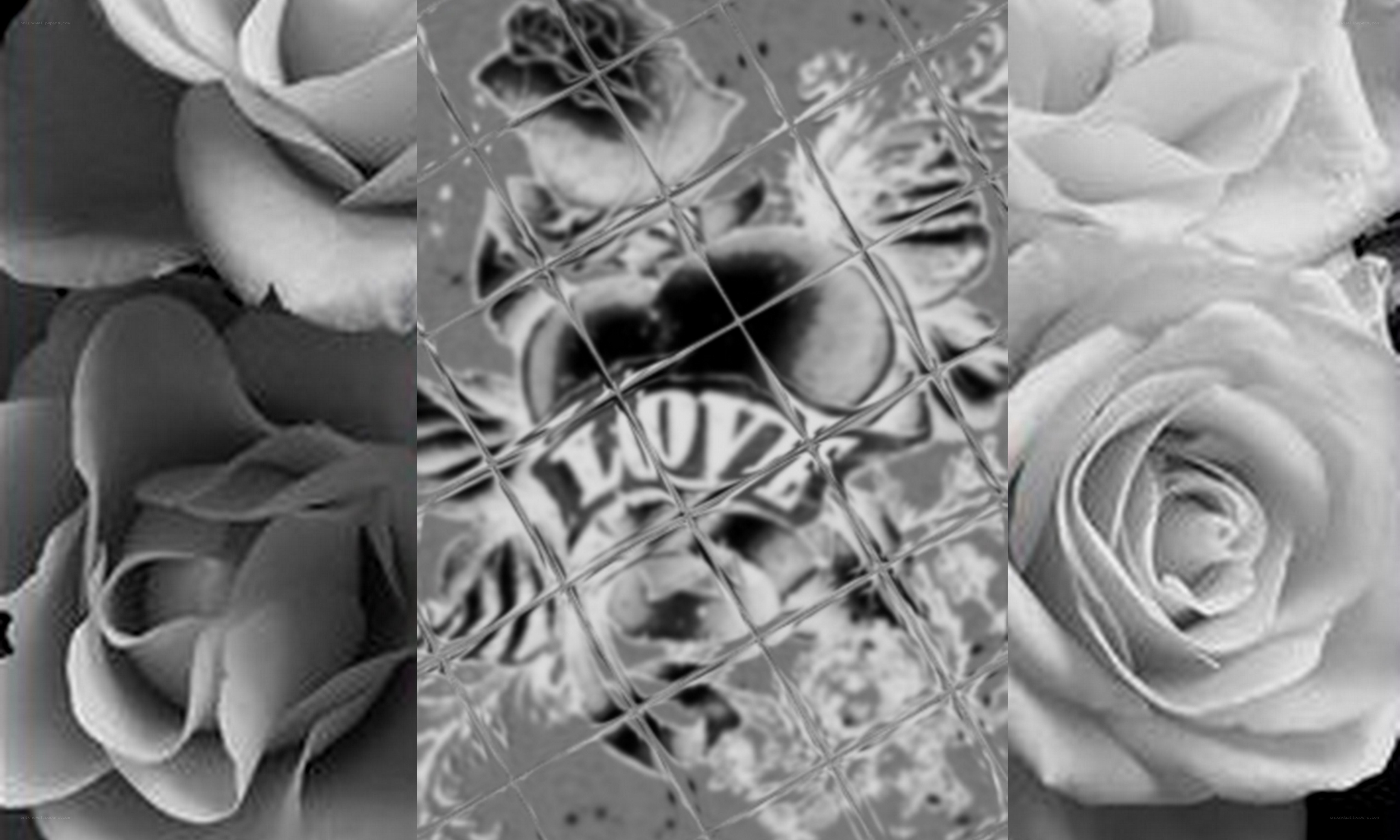 black and white roses collage