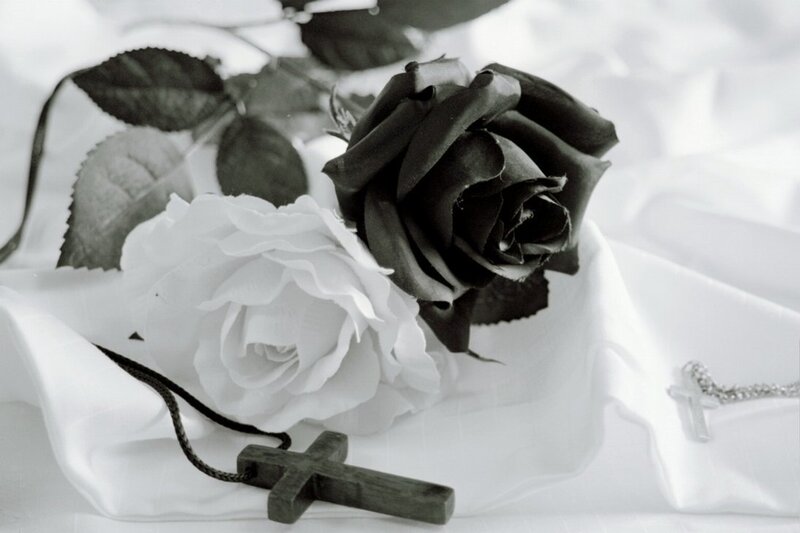 Black and White Roses — Somber