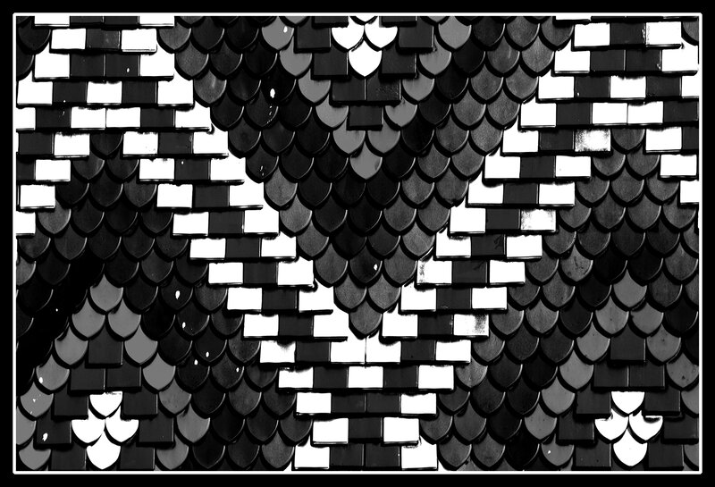 black and white scale pattern