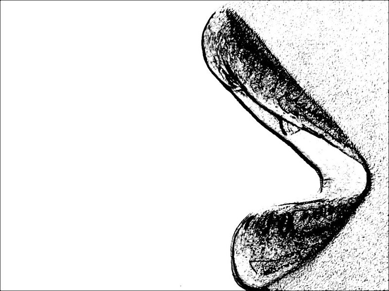 black and white sketch of a shell