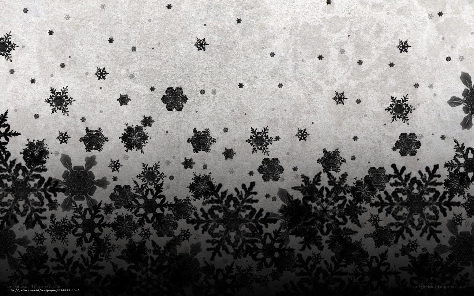 black and white snowflakes