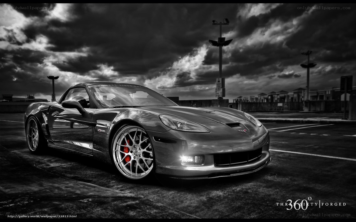 Black and white sports car