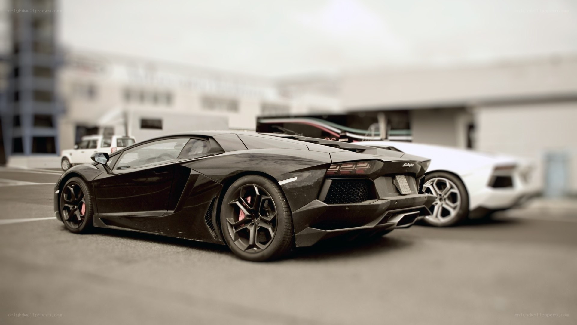 Black and white sports cars