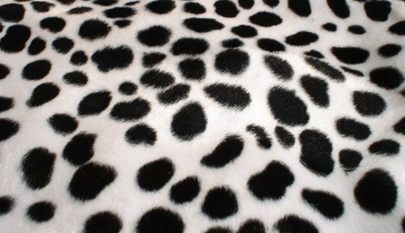 Black and White Spotted Fur
