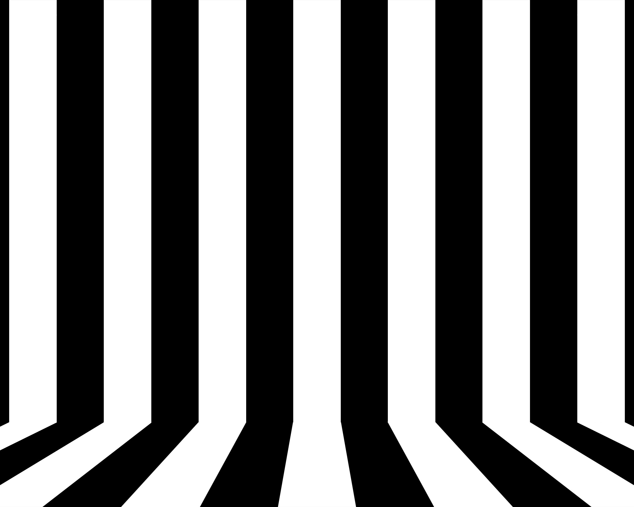 black and white striped pattern