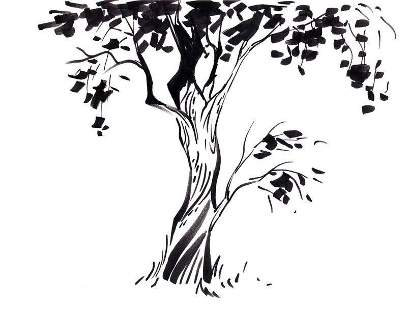 Black and White Tree Drawing