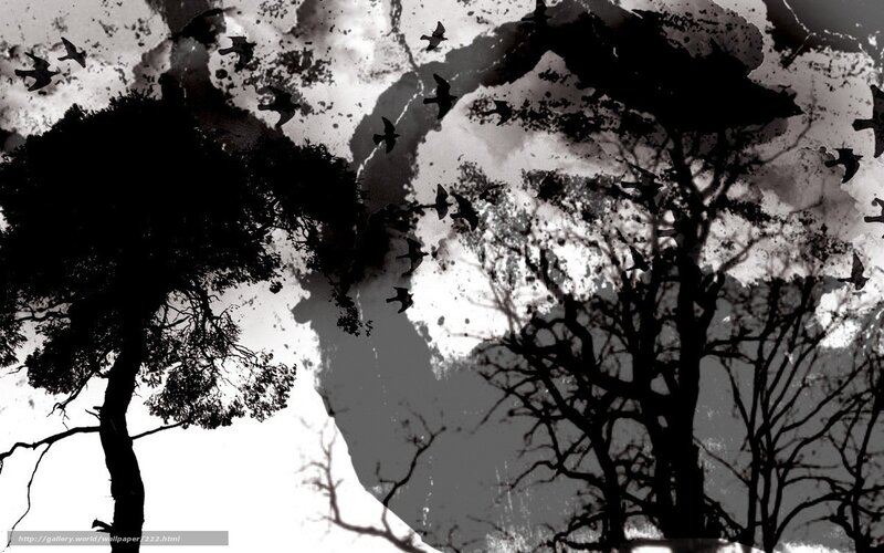 Black and white tree silhouettes