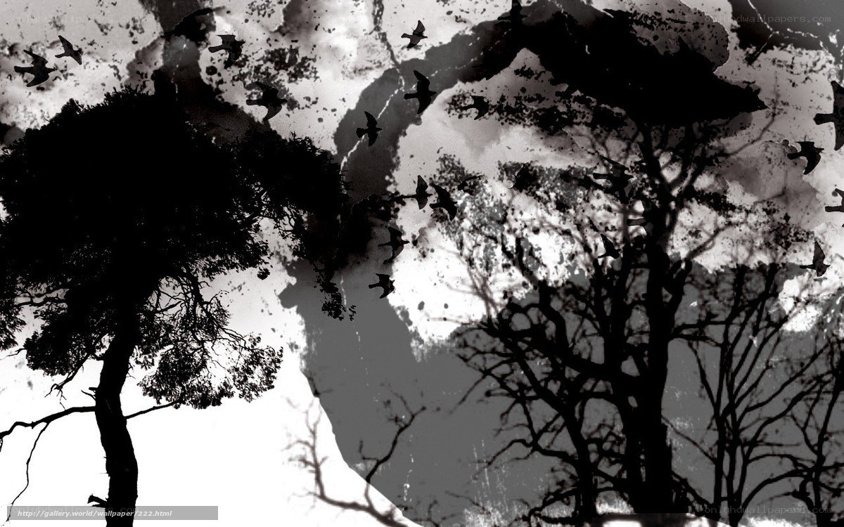 Black and white tree silhouettes