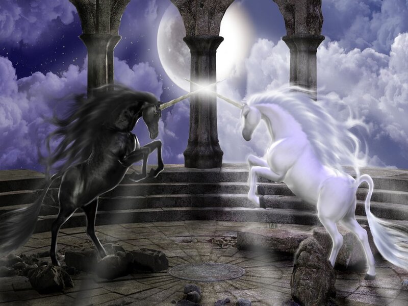 Black and White Unicorns — Dramatic