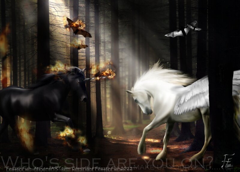 Black and White Winged Horses