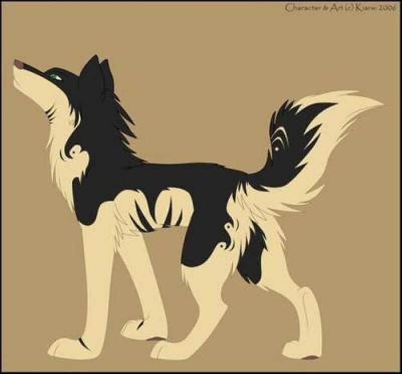 Black and White Wolf — Beige