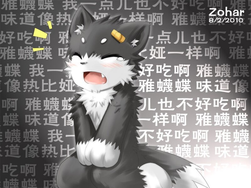 Black and White Wolf Character