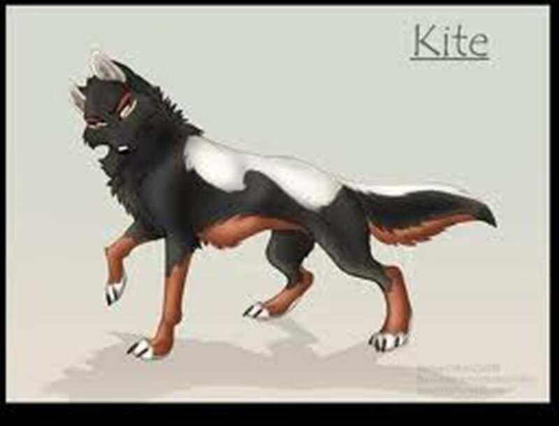 Black and White Wolf — Neutral