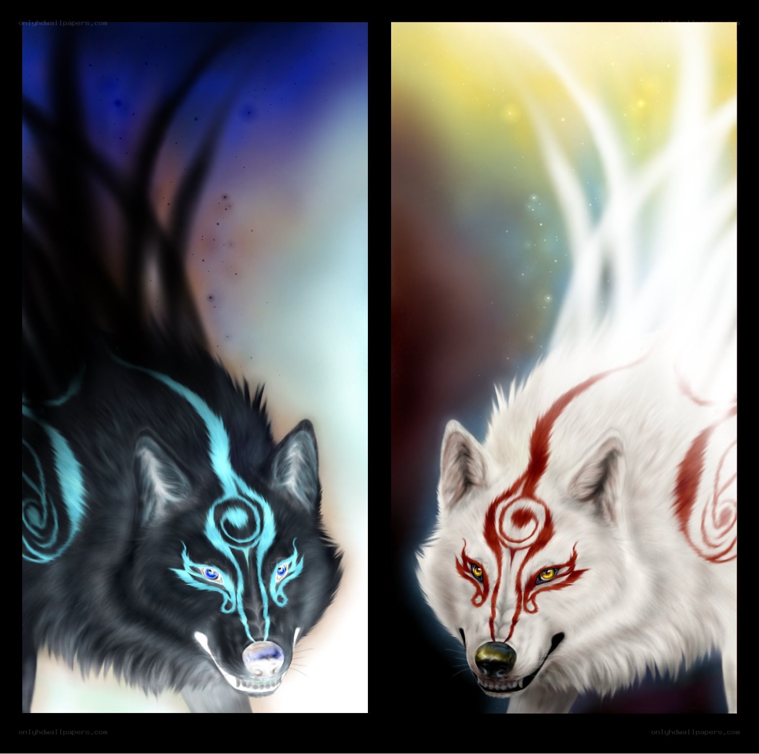 Black and white wolf spirits