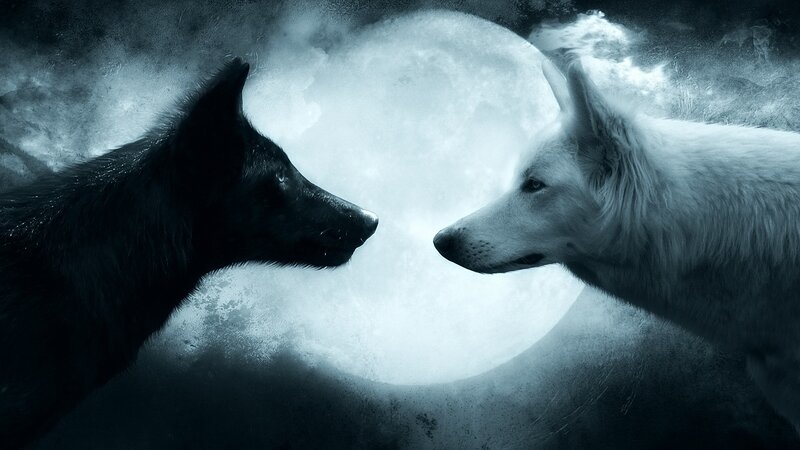 Black and White Wolves — Dramatic, Night, Digital Art, Moon