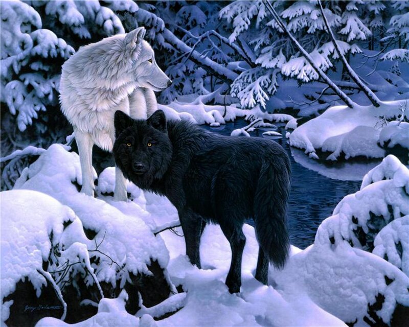 Black and White Wolves — Serene, Winter, Digital Art, Snow
