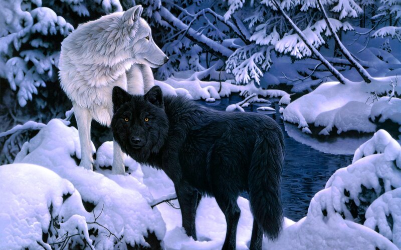 Black and White Wolves — Serene, Winter, Digital Art