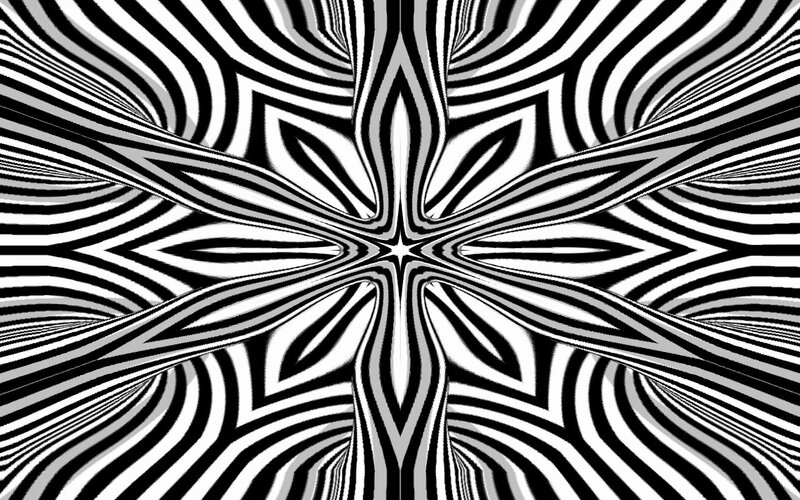 Black and White Zebra Stripes — Hypnotic