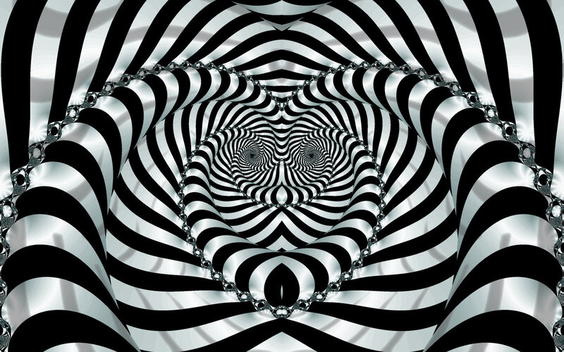 Black and White Zebra Stripes