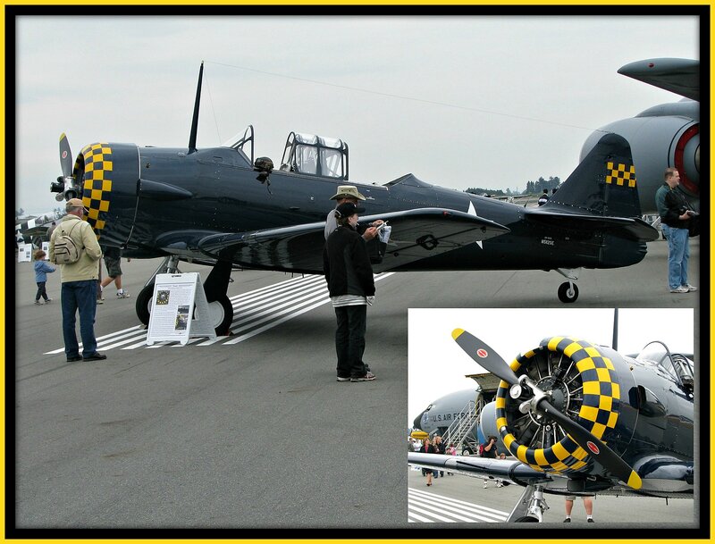 Black and Yellow Airplane — Calm