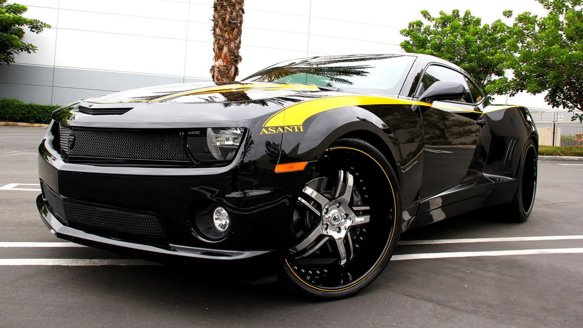 Black and yellow Camaro