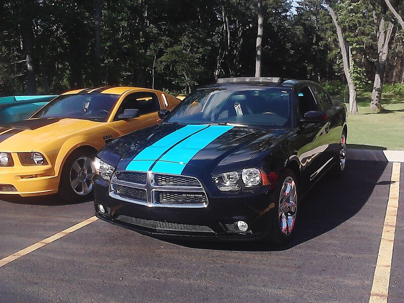 Black and Yellow Cars