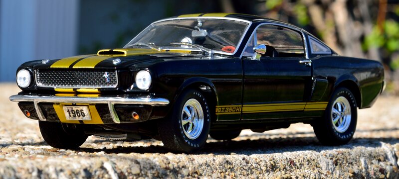 Black and Yellow Model Car — Bright