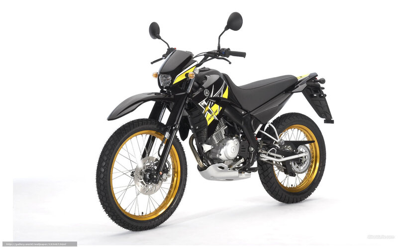 Black and Yellow Motorcycle — Neutral, Photograph, Wheel, Seat, Handlebar